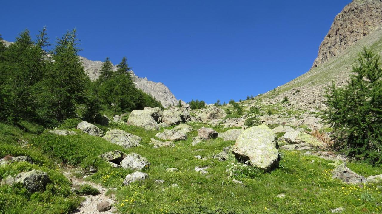 Vue Exceptionnelle, Parking Privatif, Piscine * Les Orres